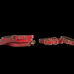 Fashion Dog Collar Womens Small Leather Goods
