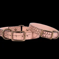 Best Dog Collar Womens Small Leather Goods