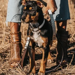Online Dog Leash Womens Small Leather Goods